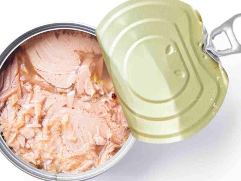 Buy and price of most sustainable canned tuna