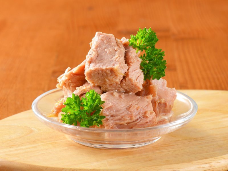 Buy quinault canned tuna + great price with guaranteed quality