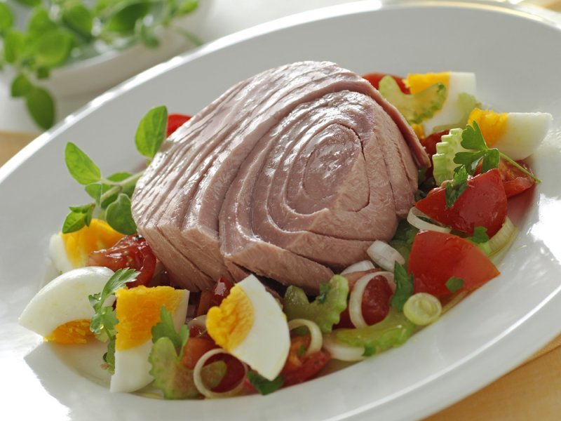 Tuna canned best purchase price + specifications, cheap wholesale