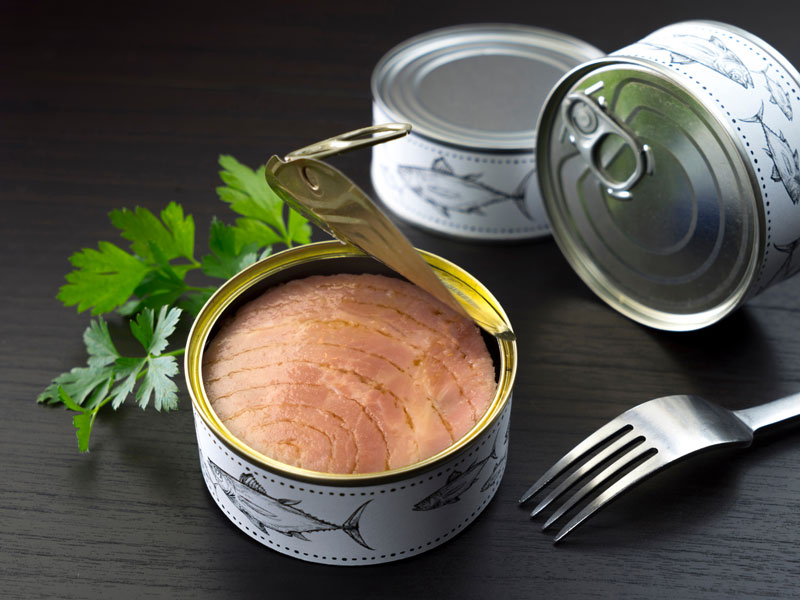 Tuna can big price + wholesale and cheap packing specifications